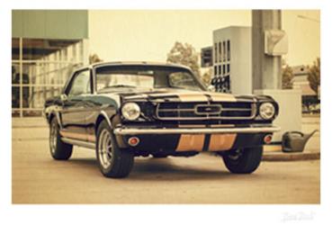 Poster mit Motiv von Mustang PoMu47