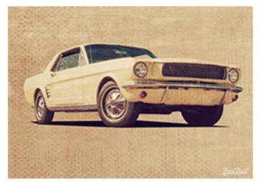 Poster mit Motiv von Mustang PoMu50
