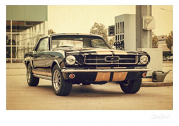 Poster mit Motiv von Mustang PoMu47