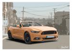 Poster mit Motiv von Mustang PoMu11