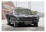 Poster mit Motiv von Mustang PoMu19