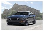 Poster mit Motiv von Mustang PoMu33