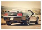 Poster mit Motiv von Mustang PoMu54