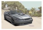 Poster mit Motiv von Mustang PoMu9